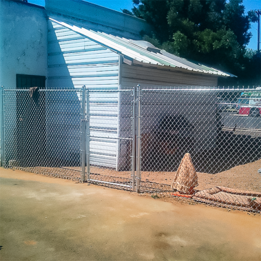 a fenced enclosure with a canopy shelter in the shade