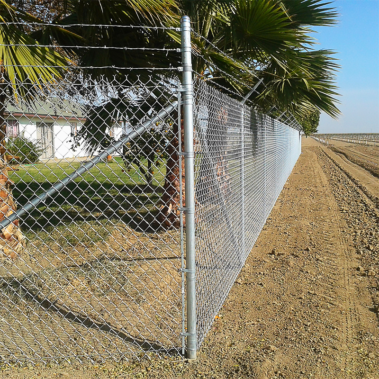 A chain link fence stands in the foreground, with lush palm trees visible in the background under a clear sky.